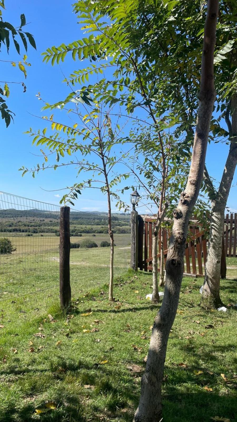 La Chacra Guest House Minas Eksteriør bilde