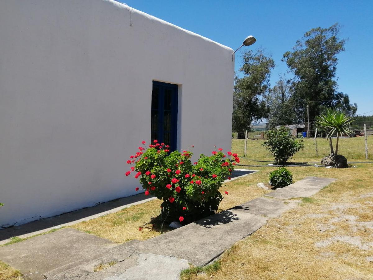 La Chacra Guest House Minas Eksteriør bilde